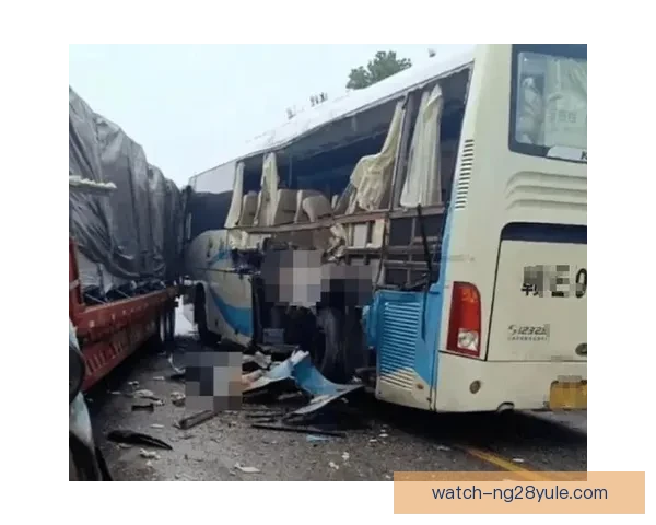 拉普拉塔学生大巴被砸总监臂伤